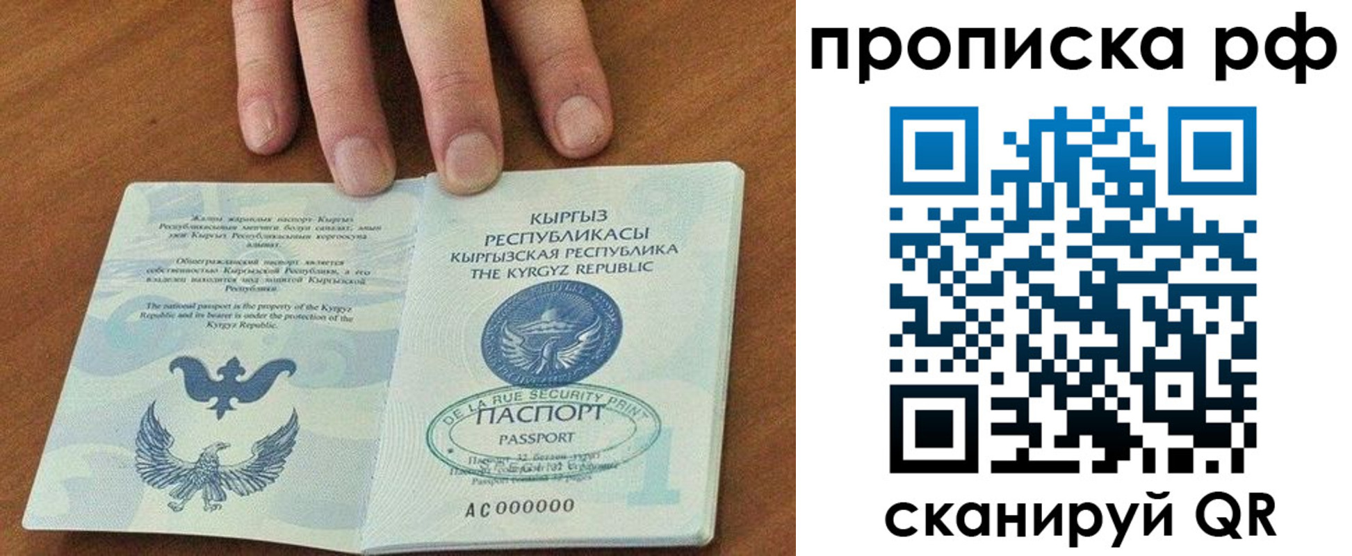 временная регистрация недорого в Долгопрудном